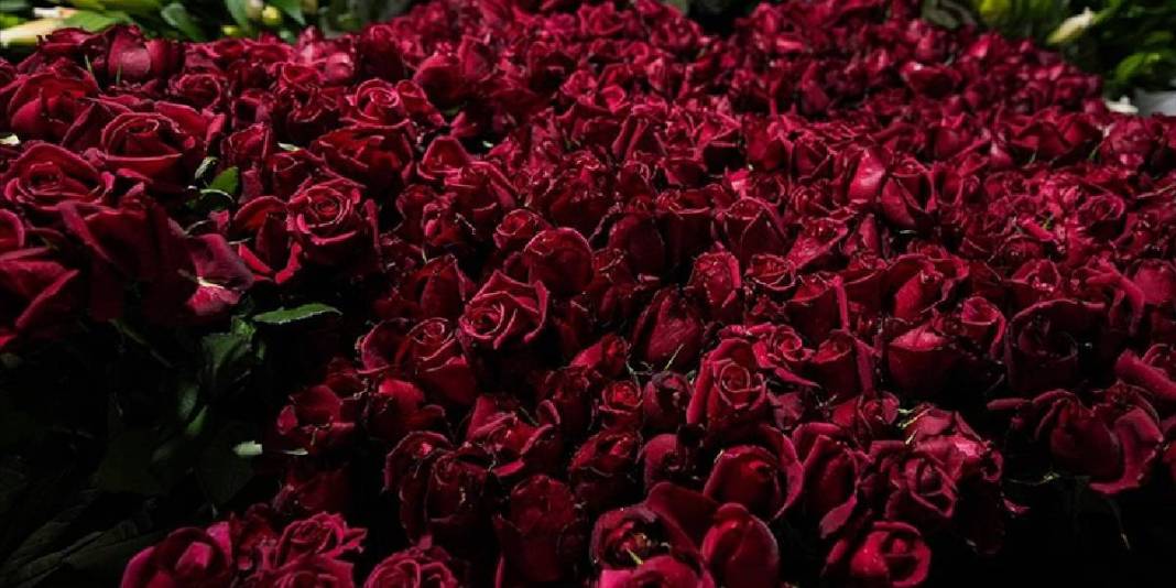 Türkiye’de üretimin %20’sini kucaklıyor: 12.500 dekarda yılda 214 milyon üretime imza atıyor 8